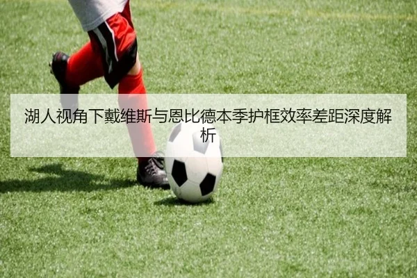 湖人视角下戴维斯与恩比德本季护框效率差距深度解析
